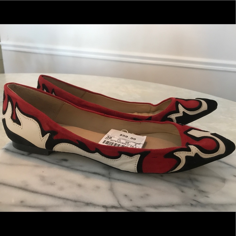 Brand New Pair of Zara Ballet Slippers - Sz 7.5